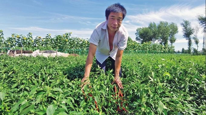 世界杯下注平台