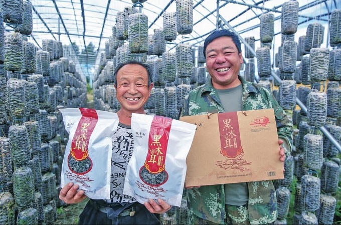 世界杯下注平台