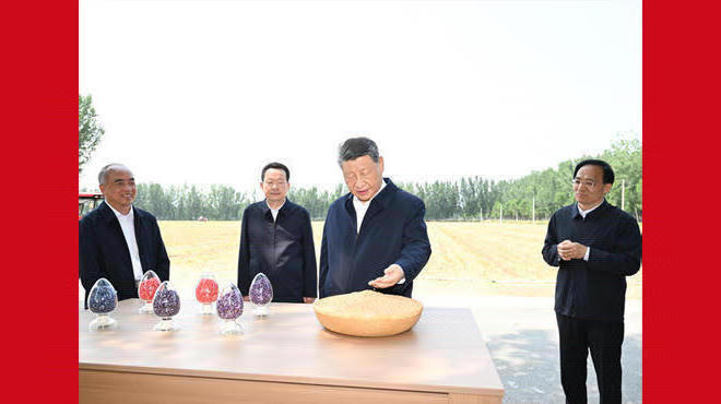 世界杯下注平台