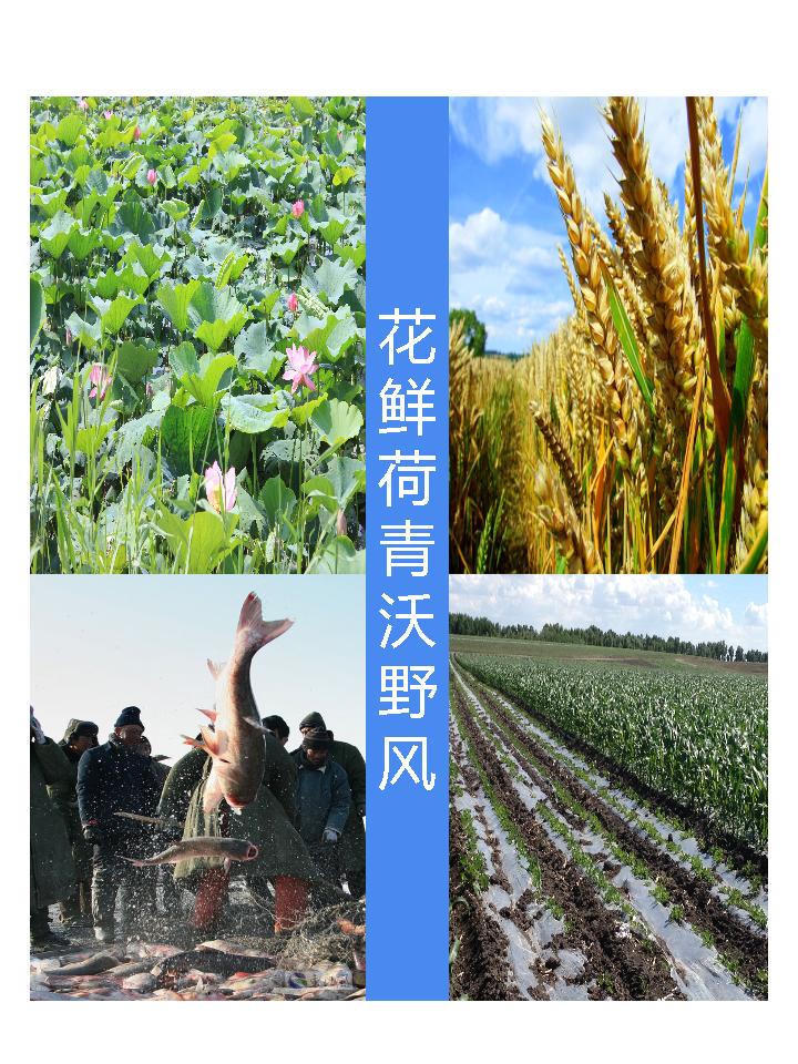 世界杯下注平台