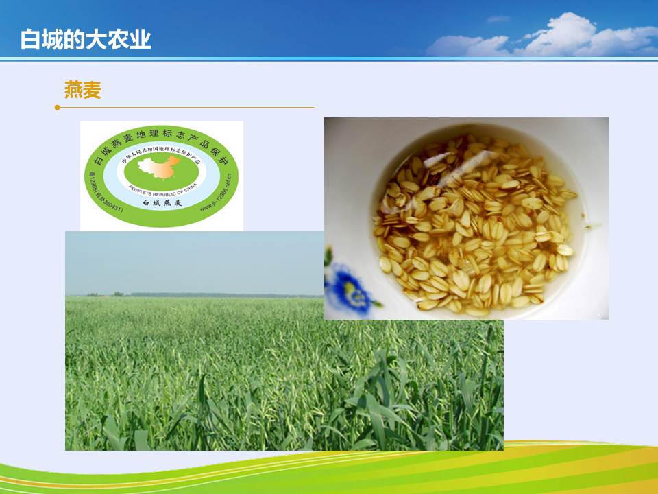 世界杯下注平台